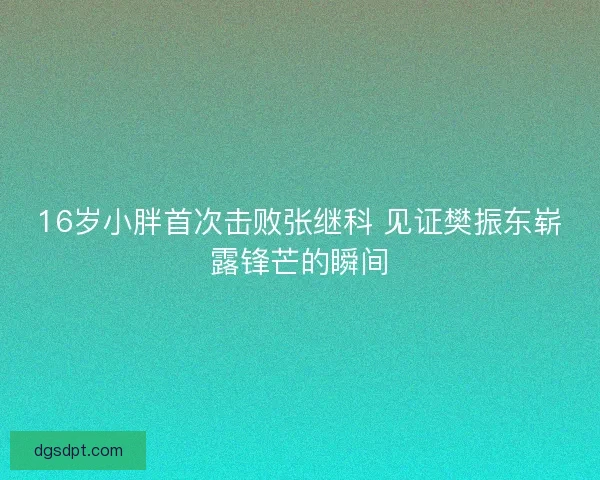 16岁小胖首次击败张继科 见证樊振东崭露锋芒的瞬间