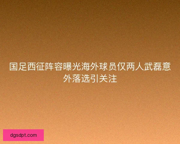 国足西征阵容曝光海外球员仅两人武磊意外落选引关注